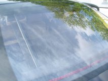 DSCN2713